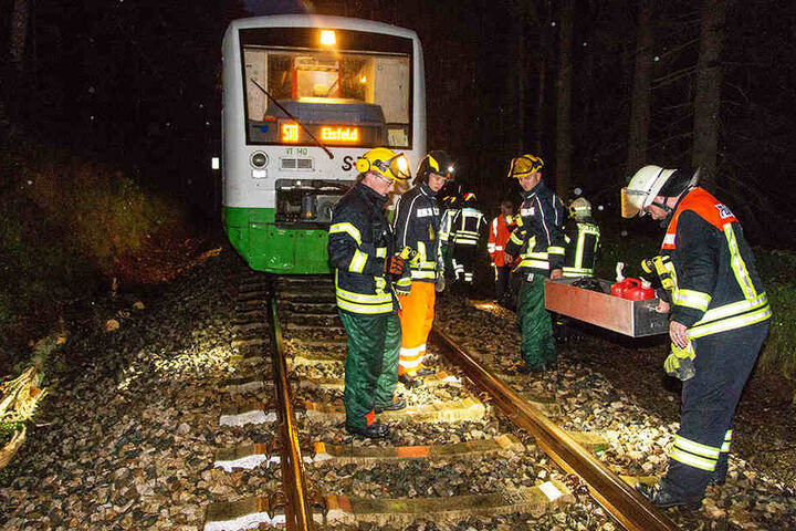Der Zug krachte mit über 100 Stundenkilometern gegen den Baum.