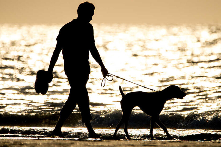 Ein Mann geht mit seinem Hund am Strand entlang. (Symbolbild)