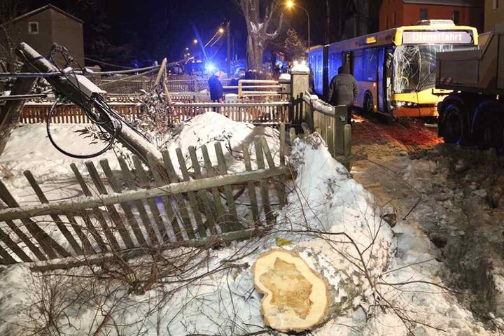 Zaun, Telefonmast und ein Baum wurden von dem außer Kontrolle geratenen Bus demoliert.