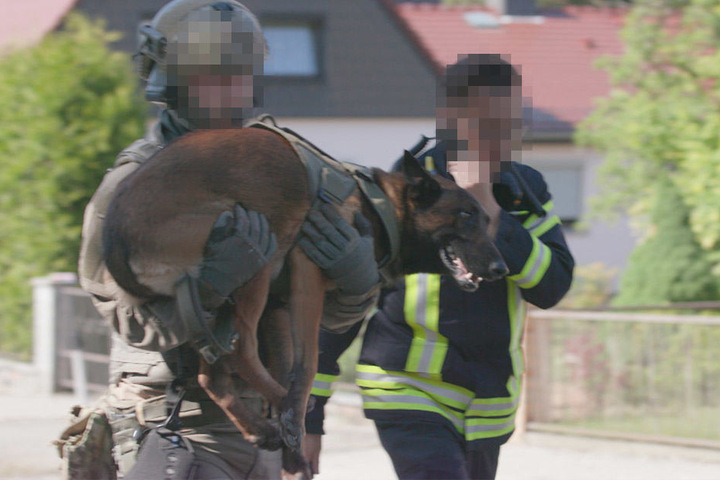 Neben einem GSG9-Beamten wurde auch ein Polizeihund verletzt.