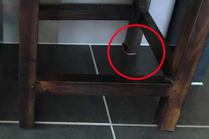 Die Schlang hat sich um das hintere Stuhlbein gewunden.