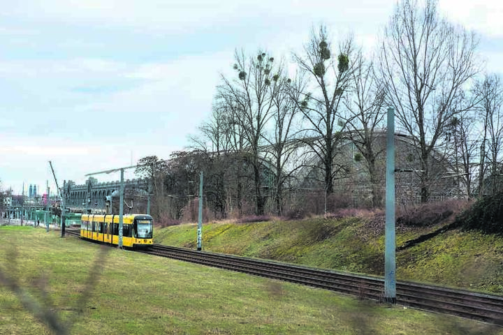 Bessere Chancen als Busbahnhof hat das Areal nordwestlich des Hauptbahnhofs
zwischen DVB- und Bahnschienen.