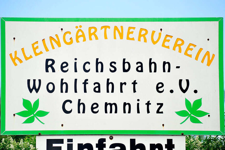 Bis Juli sollen die Vereinsmitglieder all ihre Koniferen abgeholzt haben.