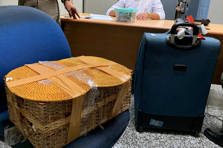 Der russische Staatsangehörige legten den Menschenaffen in diesen Rattankorb.
