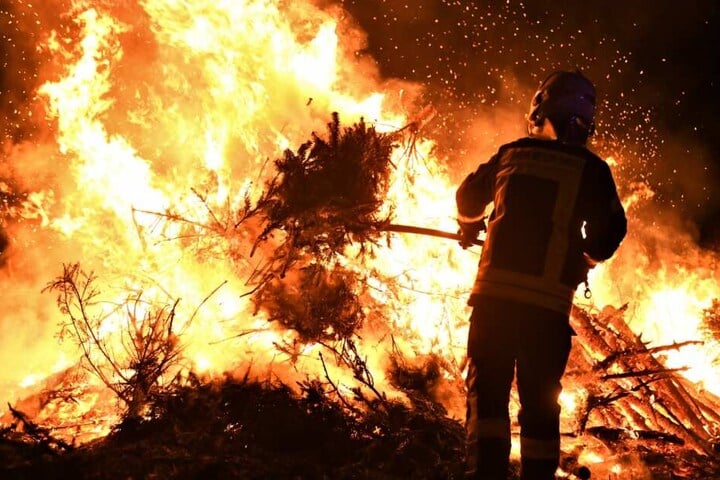 Über 2000 Bäume fielen den Flammen zum Opfer.