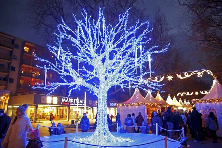 Der "blaue Baum" ist ohne Zweifel ein Blickfang auf dem Augustusmarkt in Dresden-Neustadt.