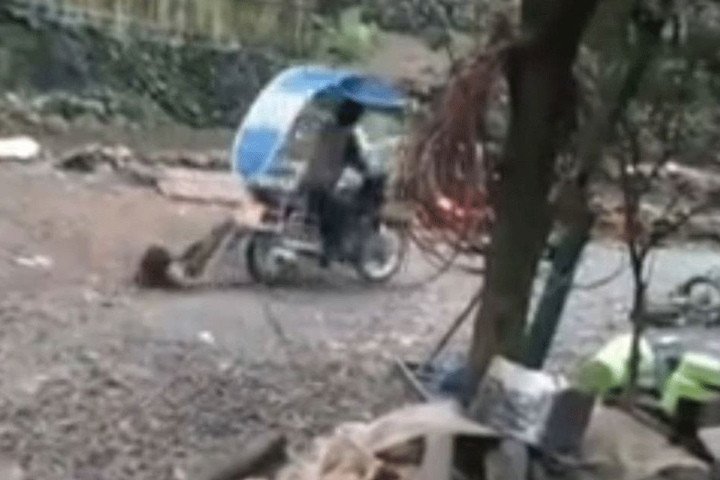 Dann zieht der Mann die Kleine an einem Schotterweg fahrend hinter sich her!