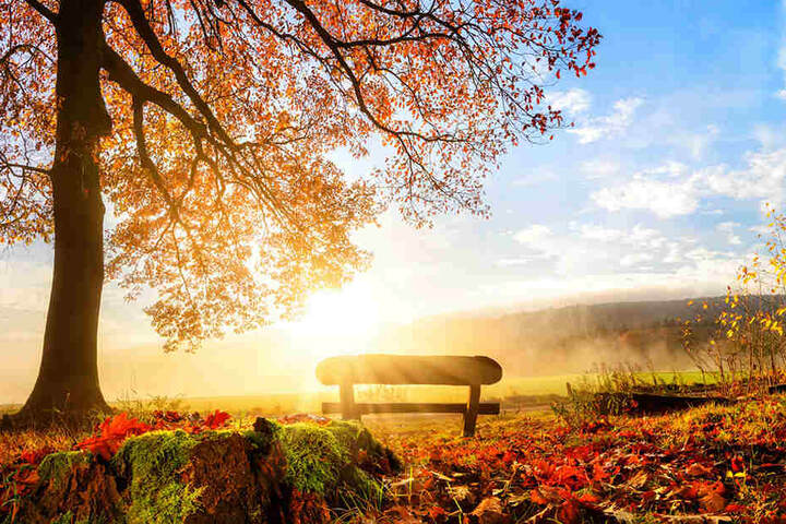 Kommt jetzt endlich der goldene Herbst?