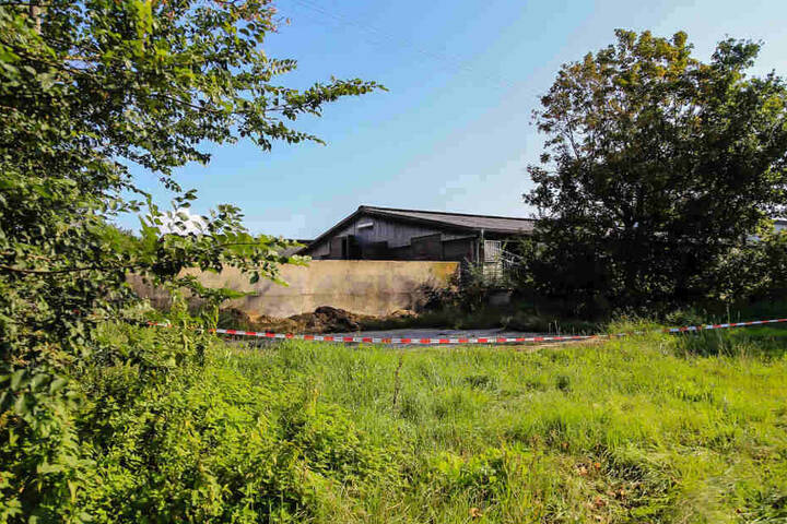 Auf dem Pferdehof in Hofheim-Langenhain müssen sich furchtbare Szenen abgespielt haben.