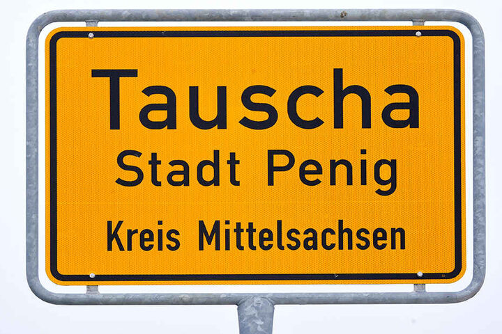 Die Bürger aus Tauscha wollen keine Hochspannungsleitung in ihrem Dorf.