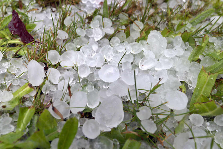 Hagelkörner liegen in einem Garten in Bayern auf dem Rasen.