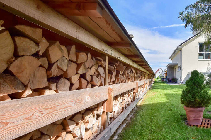 Holzvorrat: Für den Winter hat der Professor einen Holzvorrat an- gesammelt. Zwischen November und Februar muss - je nach Wetter - für bis zu 200 Euro pro Jahr nachgeheizt werden, damit im Haus gemütliche 23 Grad bleiben