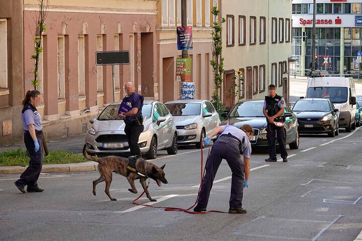 Auch ein Spürhund ist am Donnerstag im Einsatz.