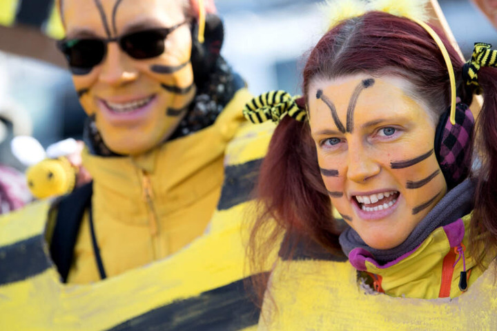 Das Volksbegehen "Rettet die Bienen" hatte im Freistaat Bayern einen enormen Zuspruch erhalten.