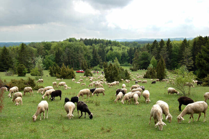 Das Epizentrum lag nördlich von Albstadt auf der Schwäbischen Alb. (Symbolbild)