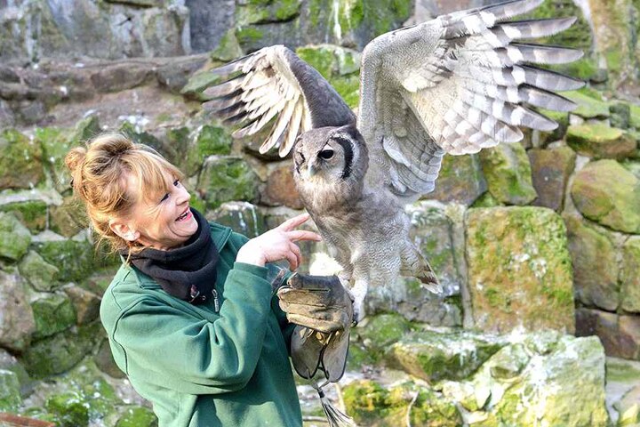Pflegerin Heike Thiergen (57) mit "Tajo" - auch der Milchuhu ist im Ferienprogramm dabei.