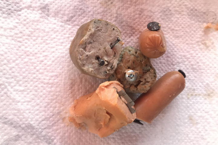Mit Nägel gespickte oder vergiftete Köder - Tierquäler nutzen eine ganze Palette von Perversitäten.