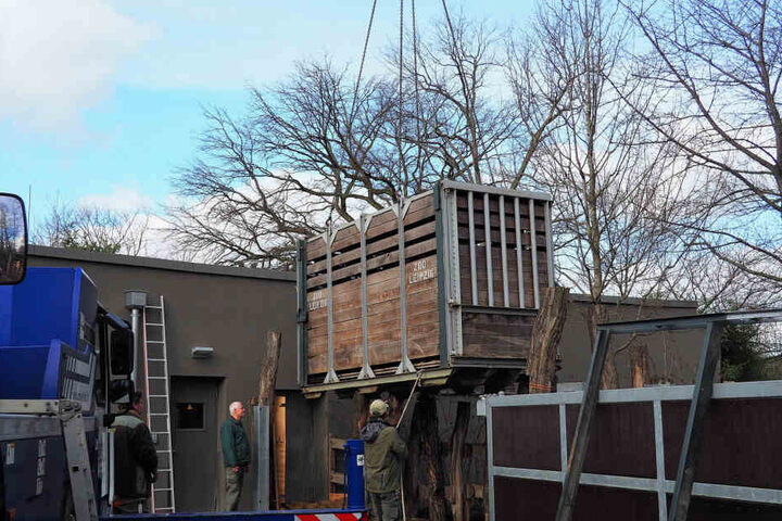 Hier macht Nandi den Abflug nach Twycross.