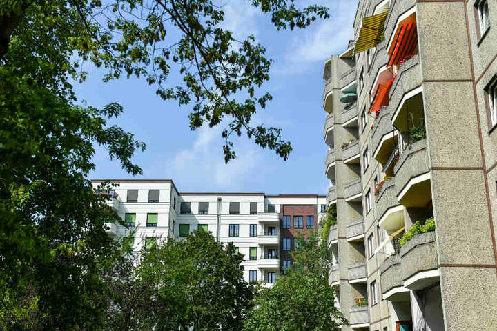 Der Vermieterverband Haus und Grund sieht in den Berliner Mietendeckel-Plänen einen Angriff auf das private Eigentum und die Grundwerte der sozialen Marktwirtschaft. (Archivbild)