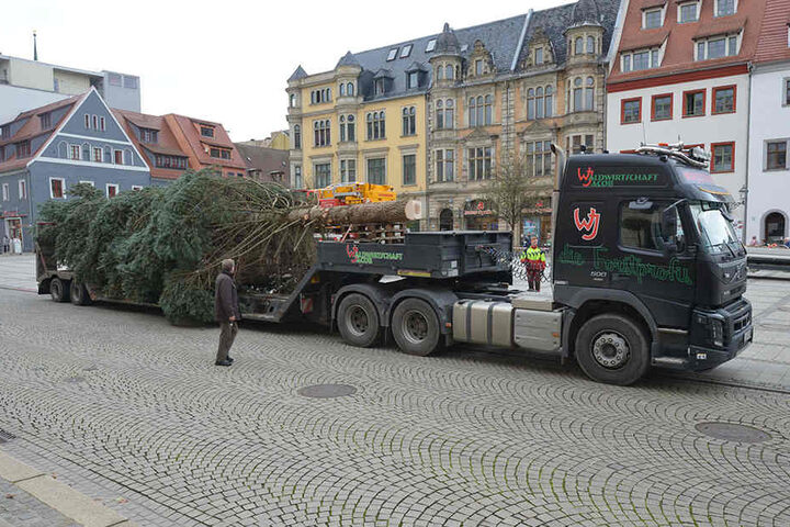 Per Tieflader reiste die Colorado-Fichte
gestern aus dem Stadtteil Auerbach zum Hauptmarkt.