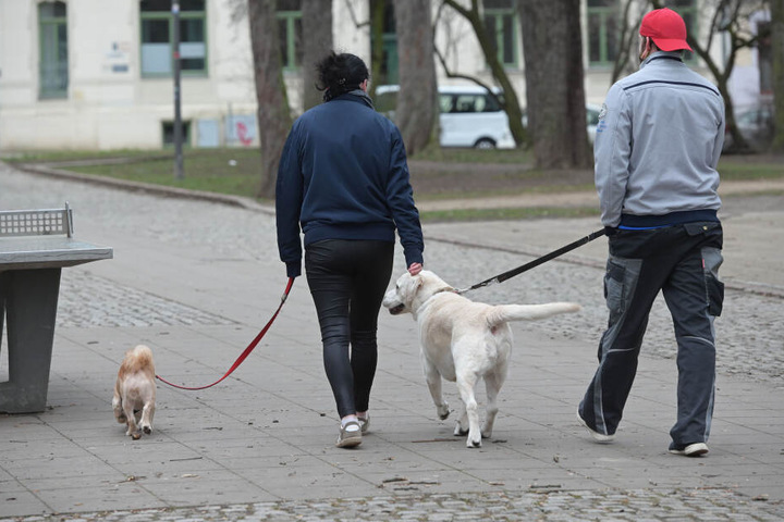 Fabian Ullmann (21) ging gestern mit seiner Labrador-Dame Emma (6) am Lessingplatz Gassi.