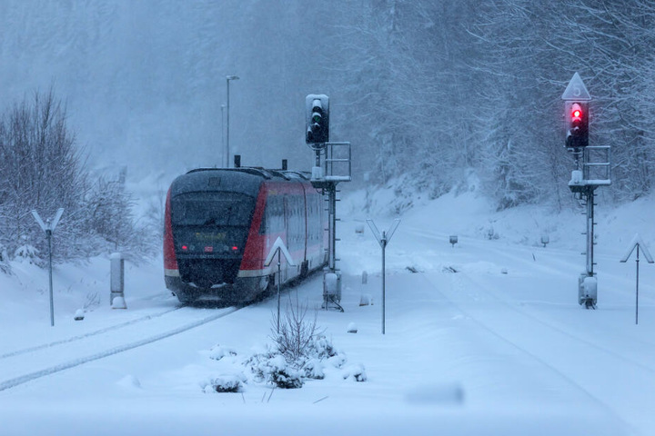 Schnee ist nicht das Problem: Umgestürzte Bäume behindern die Erzgebirgsbahn.