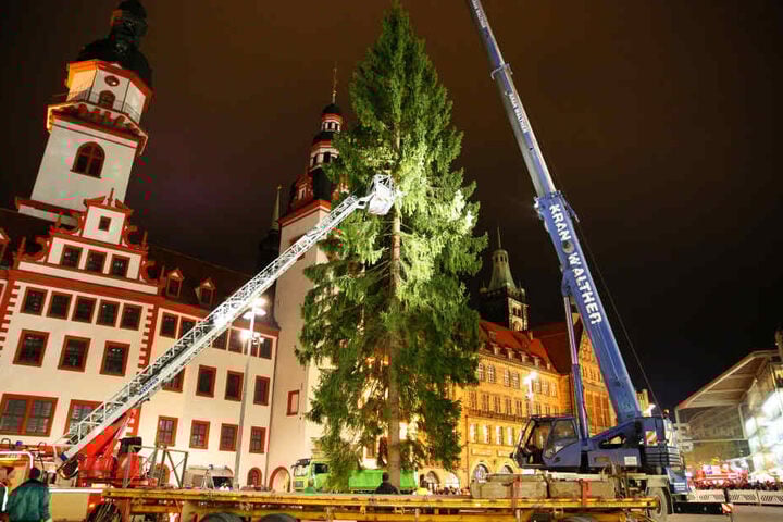 Der Baum kommt gegen 17 Uhr per Tieflader in Chemnitz an.