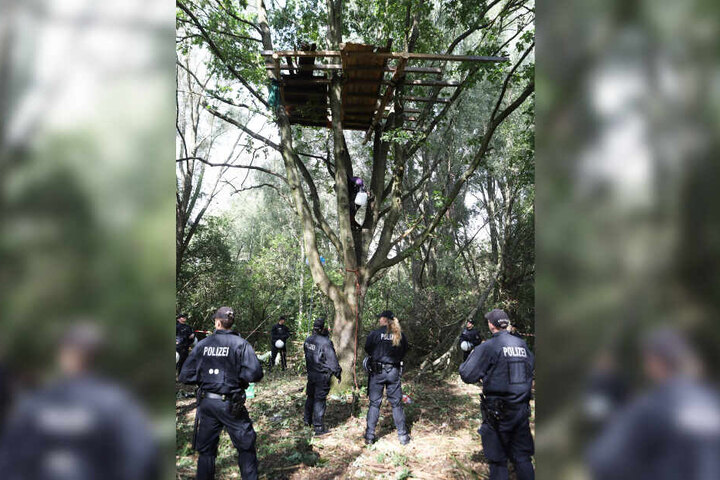 Polizisten haben das Baumhaus umstellt, von dem gerade ein Besetzer runterklettert.