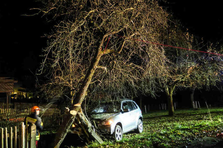 Der BMW krachte so heftig gegen einen Baum, dass dieser zerbrach.