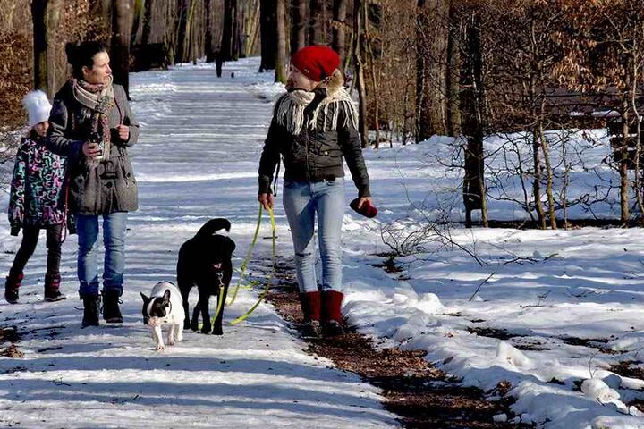 Die grüne Lunge im Norden von Chemnitz. Auch im Winter sind viele
Spaziergänger unterwegs.