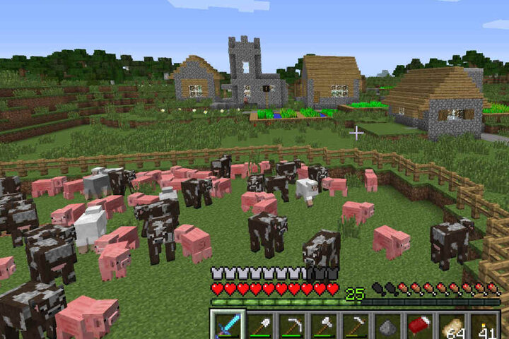 Stadtplanung mal anders: mit dem Computerspiel Minecraft.