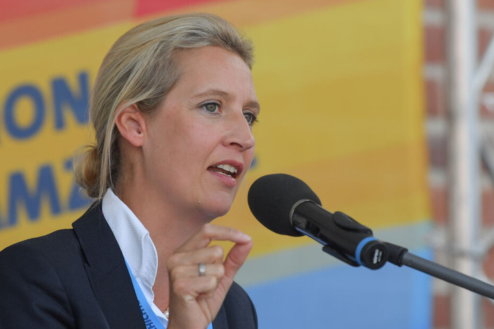 Auch eine Spende an Alice Weidel könnte der Partei noch Probleme machen.