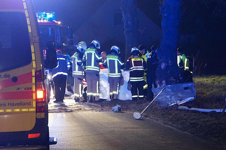 An diesem Baum zerschellte der Honda Civic.