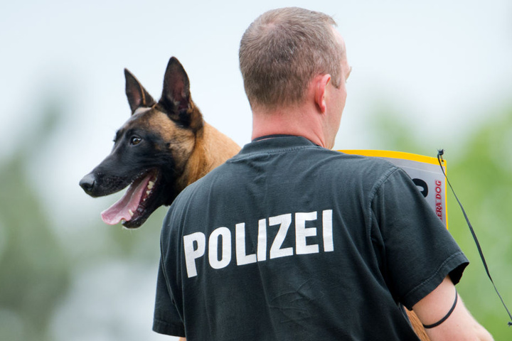 Auch mit Spürhunden suchte die Polizei nach dem Jungen. (Symbolbild)