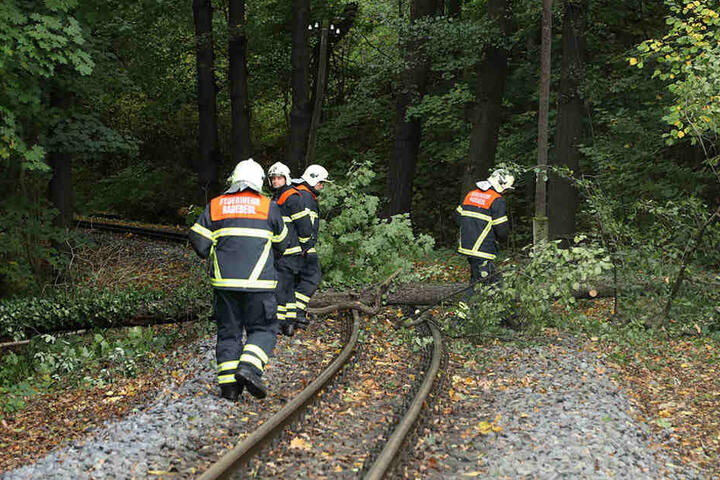 Der Baum wurde kontrolliert auf die Gleise gekippt.