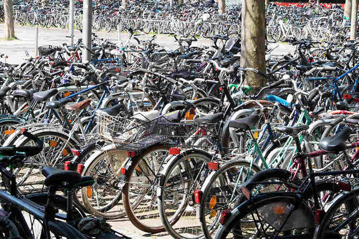 Neue Fahrrad gefällig? Insgesamt kommen 70 Bikes unter den Hammer. (Symbolbild)