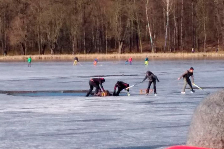 Dramatische Szenen am Sonntag in Moritzburg: Während Helfer eingebrochene Menschen aus dem Schlossteich retten, laufen im Hintergrund andere weiter Schlittschuh.