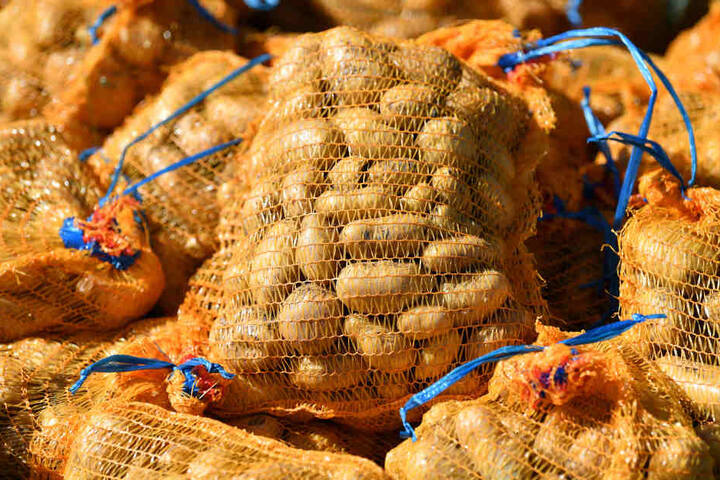 Wegen der Dürre sind Kartoffeln zurzeit mehr als 50 Prozent teurer als im Vorjahr (Symbolbild).