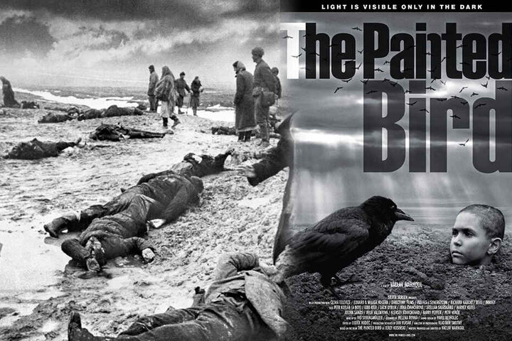 In "The Painted Bird" wird den Zuschauern Kritikern zufolge extrem viel zugemutet. (Bildmontage)