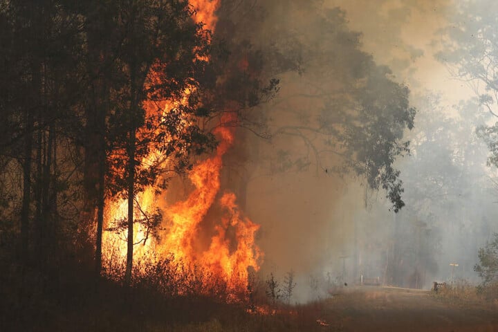 Das Buschfeuer wurde vermutlich durch einen Blitzeinschlag ausgelöst und ist noch nicht unter Kontrolle. (Symbolbild)
