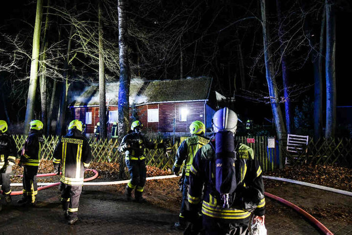 Feuerwehrkräfte befreiten noch zwei Hunde und zwei Papageien aus dem verrauchten Gebäude.