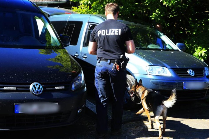 Die Suche mit einem Leichenspürhund wurde vorläufig beendet. (Symbolbild)