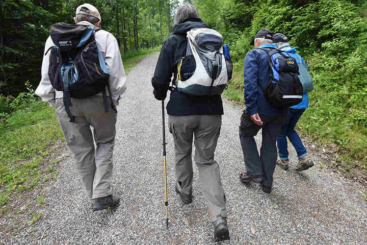 Die Wanderung durch den Märchenwald ist etwas für Jung und Alt.