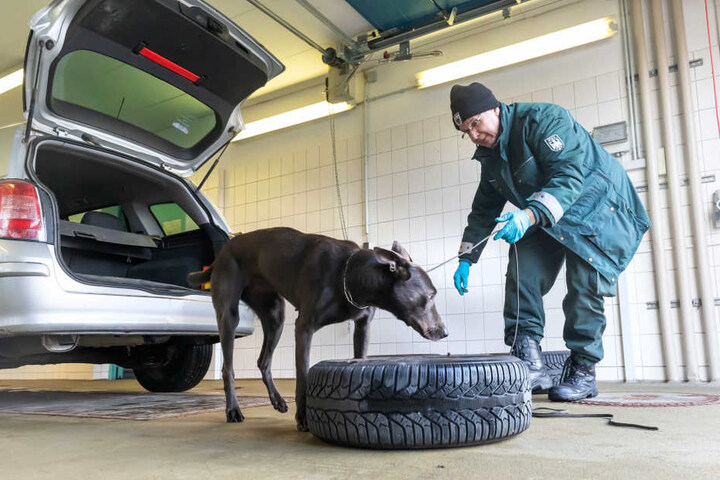 Grenz-Razzia im Vogtland: 21 Beamte filzten in Schönberg 69 Autos.