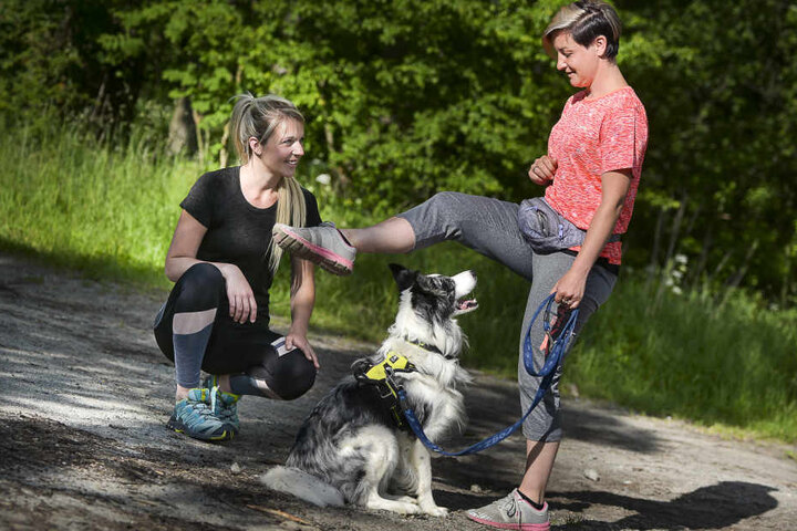 Hoch und rüber das Bein! Hund „Sky“ muss sitzenbleiben, damit
Kursteilnehmerin Stephanie Neumann unter Lisas Anleitung die Fitness-Übung
machen kann.