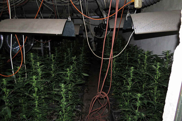 So sah es in einem der Kellerräume aus, in dem Cannabis getrocknet wurde.