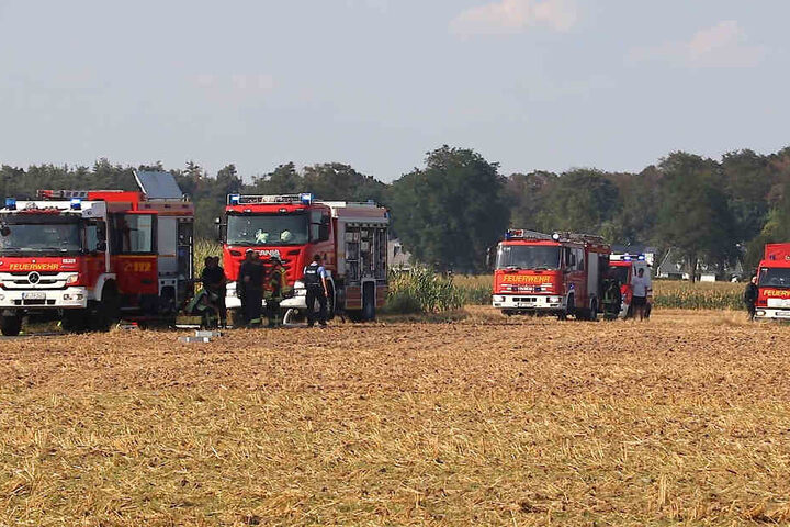 Die Einsatzkräfte benötigten eine Stunde, um das brennende Feld zu löschen.