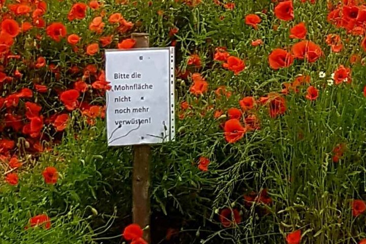 Das Schild am Rande des Mohnfeldes.