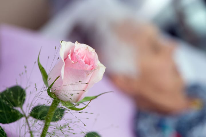 Schwerkranken Menschen können ihm Hospiz würdevoll sterben. (Archivbild)
