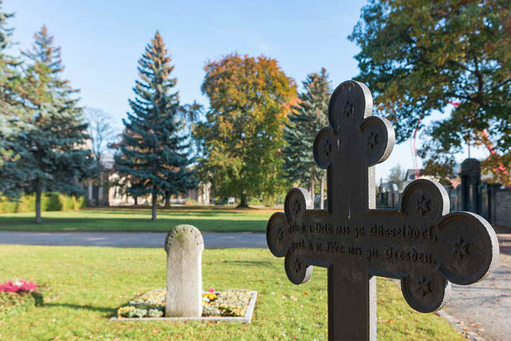 So wie hier auf dem Johannesfriedhof in Tolkewitz könnten die großen Wiesen für den Ernstfall herhalten.